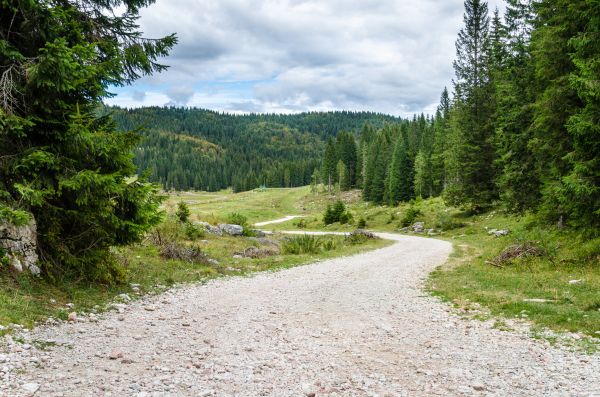 Gravel Road Grading in Coeur D Alene
