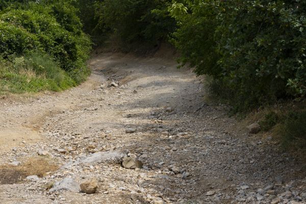 Gravel Road Pothole Repair in Coeur D Alene