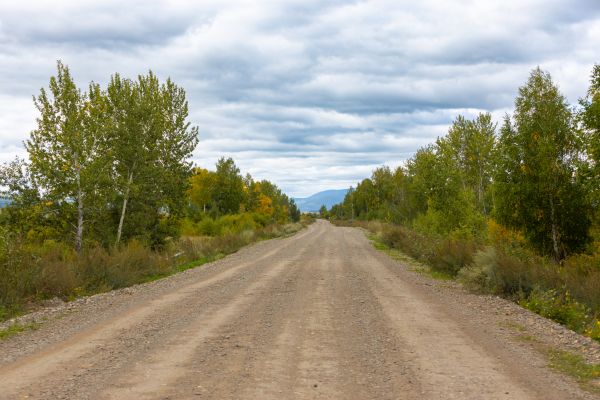 Dirt Road Repair in Coeur D Alene