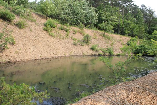 Pond Erosion Repair in Coeur D Alene