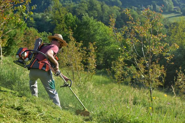 Cost of Slope Trimming in Coeur D Alene